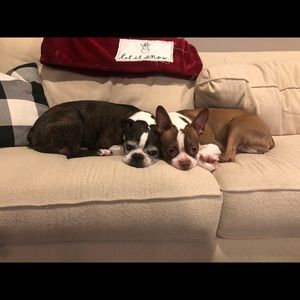 Meet your Posher, Rejean